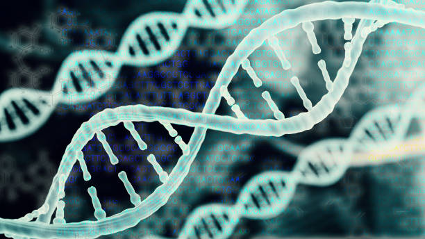 istock Biotechnology bioinformatics concept of DNA and protein 808511370