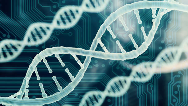 dna와 단백질의 생물 공학 생물 정보학 개념 - dna chip 뉴스 사진 이미지