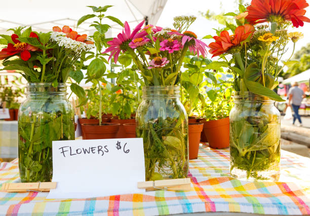 istock Flowers at Outdoor Market 808514988