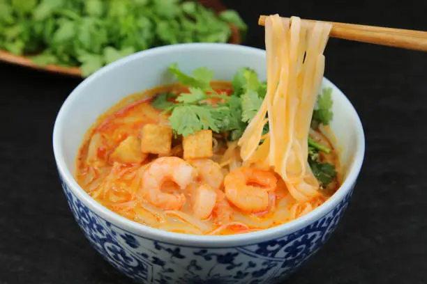 The Lacsa is the Southeastern Asian noodles cooking that spice worked for.