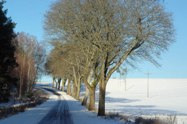 winter road - winterroad stock-fotos und bilder