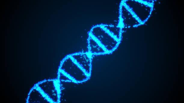 istock Abstract digital 3d illustration human DNA strand 808552342