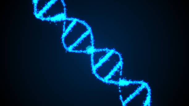 istock Abstract digital 3d illustration human DNA strand 808552360