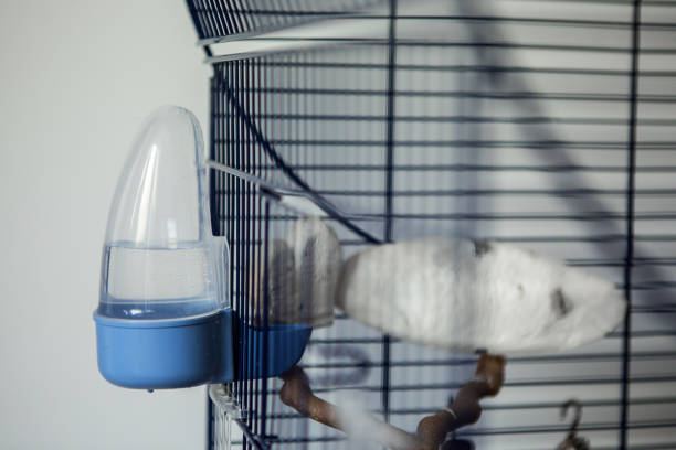istock Water tank on the cage 808562260