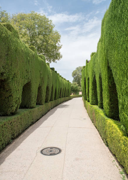 istock Granada, Spain - Alhambra Palace and City of Granada 808567270