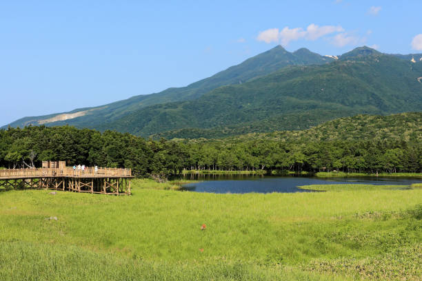 istock Shiretoko National Park, Wolrd Heritage 808577738