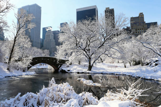 central park en invierno - winter scape fotografías e imágenes de stock