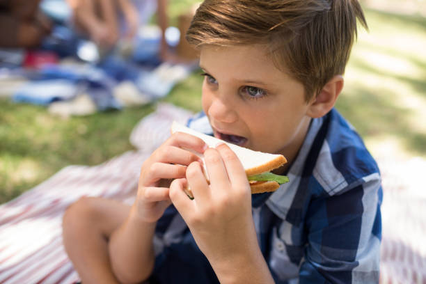 istock Boy having sandwich in picnic at park 808592206