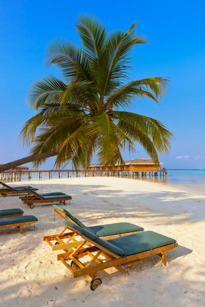 istock Loungers on Maldives beach 808628124