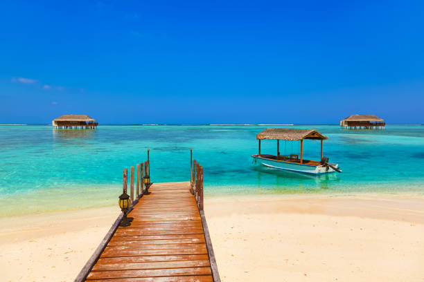 istock Boat and bungalow on Maldives island 808628528