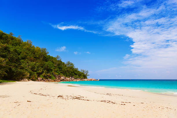 istock Tropical beach at island Praslin Seychelles 808645422