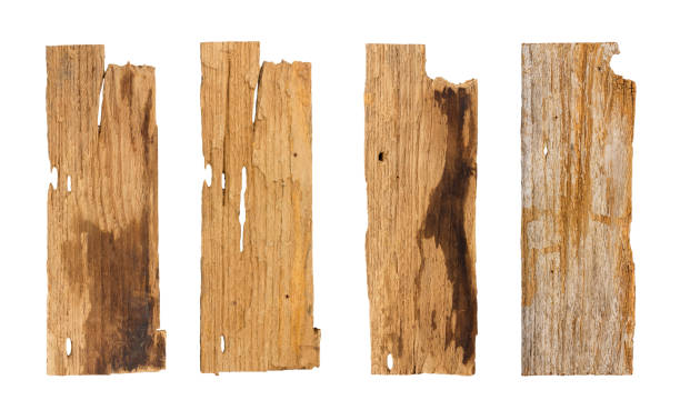 istock Old wooden planks isolated white background 808646572