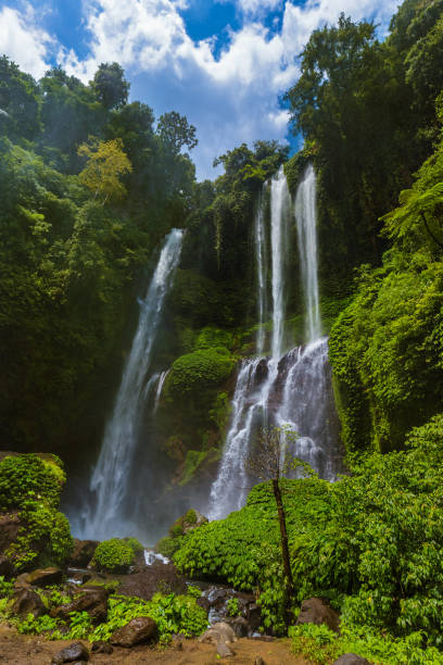 istock Cluster waterfall - Bali island Indonesia 808657742