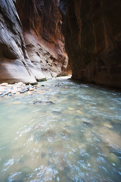 istock The Narrows in Zion National Park 808731992