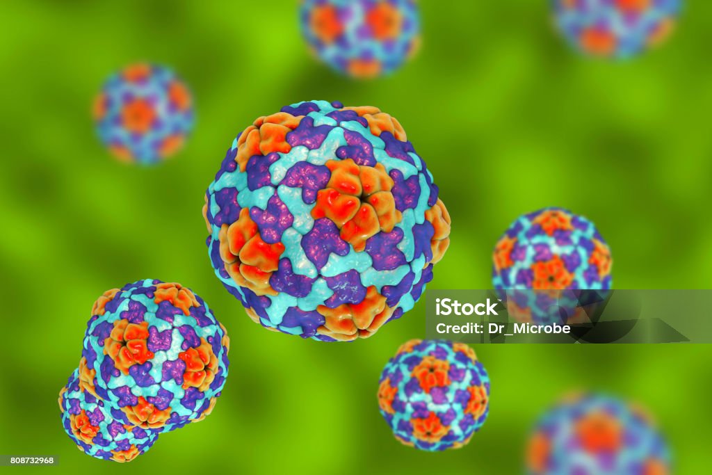 Heptitis A viruses on colorful background Heptitis A viruses on colorful background, 3D illustration Hepatitis A Stock Photo