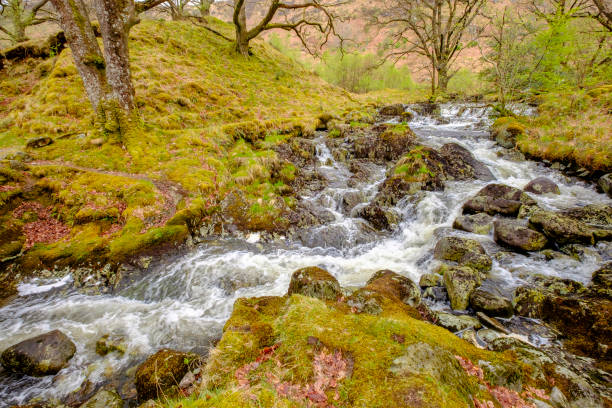istock Galloway Forest Park - Scotland 808760952