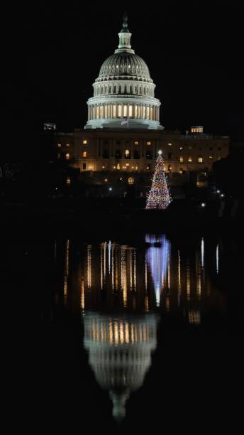 ночь в captiol отражая бассейн сша captiol рождественская елка - captiol стоковые фото и изображения