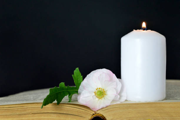 istock White candle, flower and book on dark background 808811302