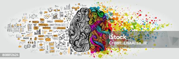 왼쪽된 바로 인간의 두뇌 개념입니다 창의적인 부분과 사회 및 비즈니스 낙서와 로직 부분 창의력에 대한 스톡 벡터 아트 및 기타 이미지 - 창의력, 사색, 예술