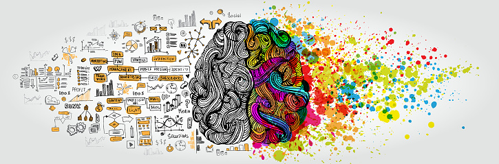 Left right human brain concept. Creative part and logic part with social and business doodle isolated on white background