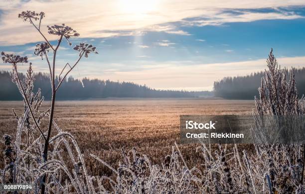 Paisaje Pintoresco Y Luminoso Con Salida Del Sol En La Fría Mañana De Otoño Foto de stock y más banco de imágenes de Invierno