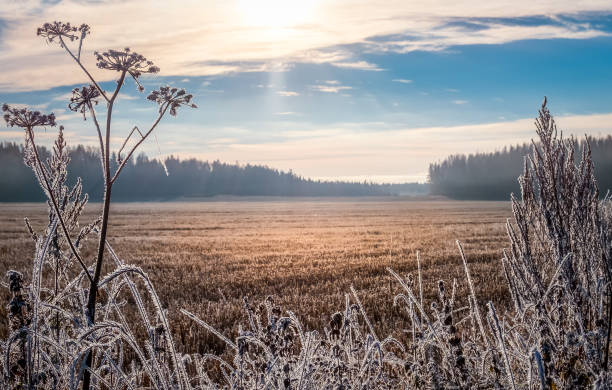 paesaggio panoramico e luminoso con alba alla gelida mattina d'autunno - plain meadow sky grass foto e immagini stock