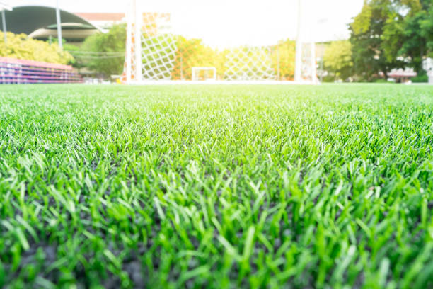 Maintenance of the lush green football field