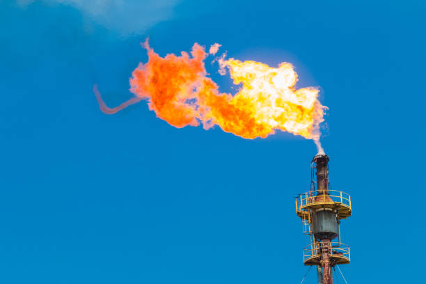 istock Burning oil and gas from flare structure 808821828