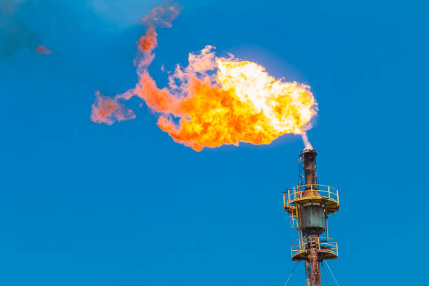 istock Burning oil and gas from flare structure 808821874