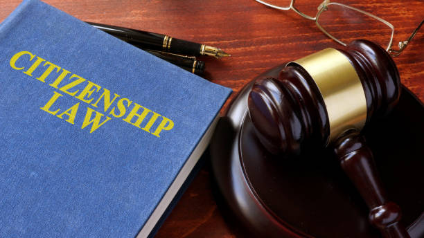 istock Book with title Citizenship Law and gavel. 808826322