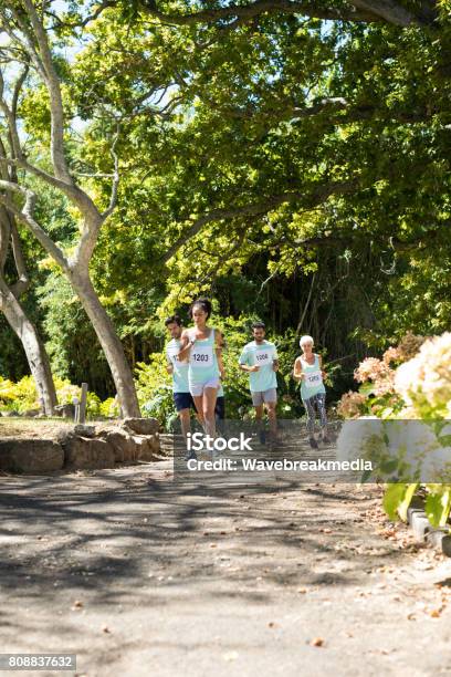 People Are Sitting On The Roadside In New Jersey Park Stock Photo -  Download Image Now - iStock