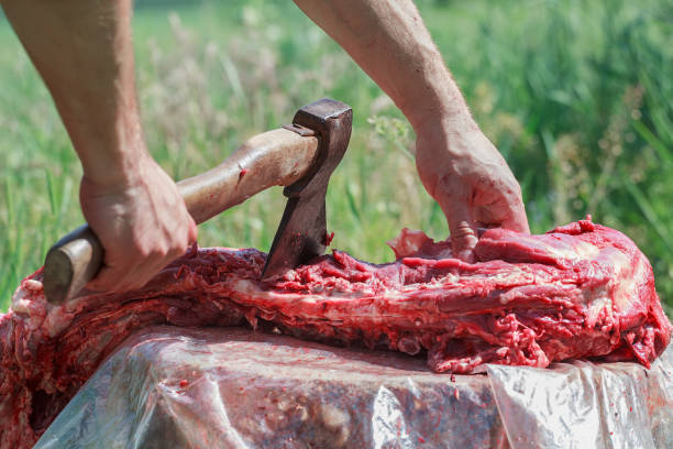 carne de cordero de granja fresco picado por el hacha en la mano del hombre - dead animal butcher meat sheep fotografías e imágenes de stock