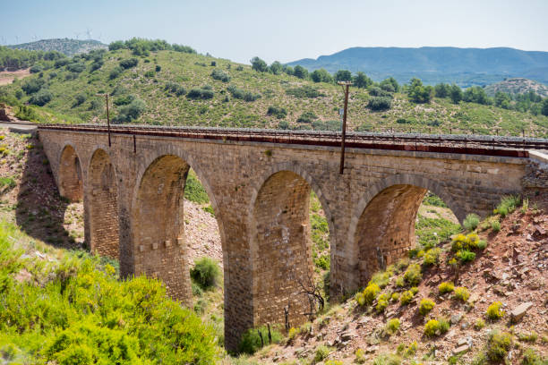 istock Green way black eyes in its passage by Barracas in Castellon 808841736