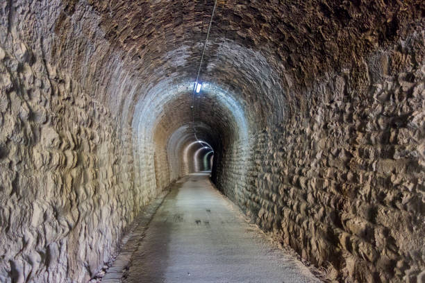 istock Green way black eyes in its passage by Barracas in Castellon 808841748