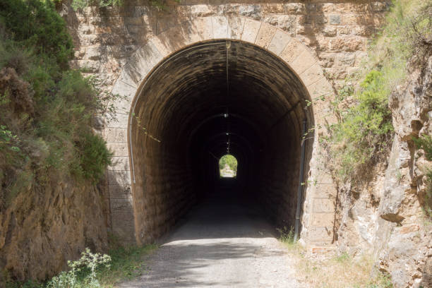 istock Green way black eyes in its passage by Barracas in Castellon 808842256