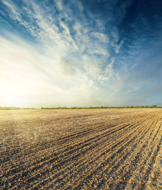 istock plowed field in autumn at sunset in blue sky 808844234