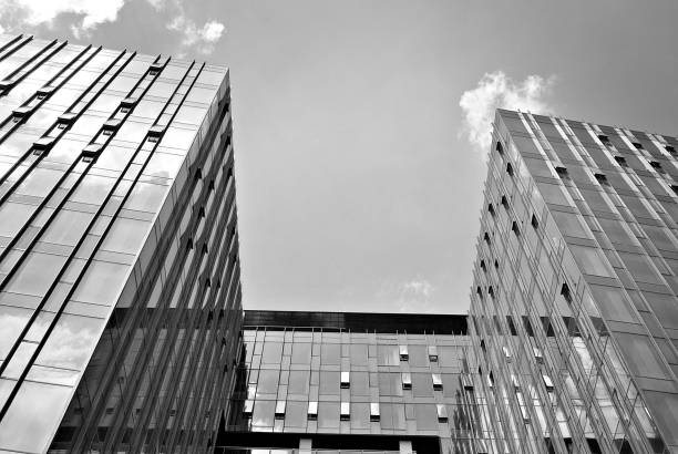 istock Modern business office building exterior. Black and white 808844350