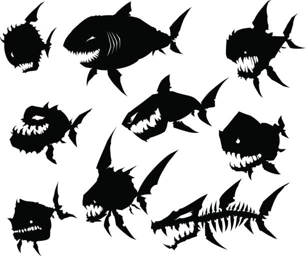 Black graphic silhouette cool monster fish on white background Black graphic silhouette cool monster fish on white background vector set animal jaw bone stock illustrations