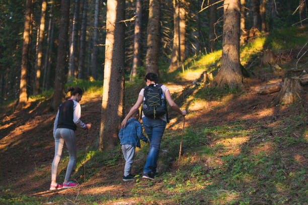 istock Mother and kids hiking in forest 808926646