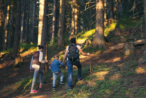 istock Mother and kids hiking in forest 808934216