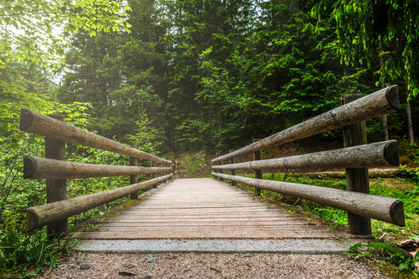 Small wooden bridge on a walking trail in Canada