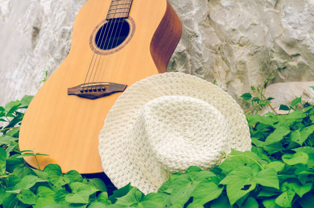 Acoustic guitar, hat and green leaves background.