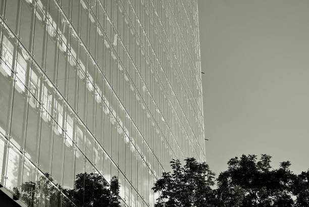 istock Modern, Luxury Apartment Building. Black and white 808970156