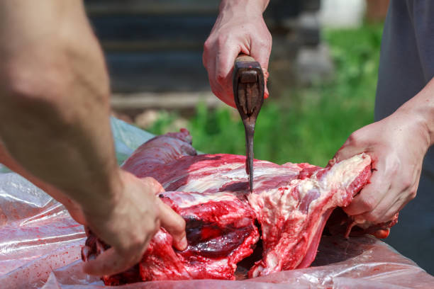 proceso de corte de la canal de lechazo con hacha de carnicero - dead animal butcher meat sheep fotografías e imágenes de stock