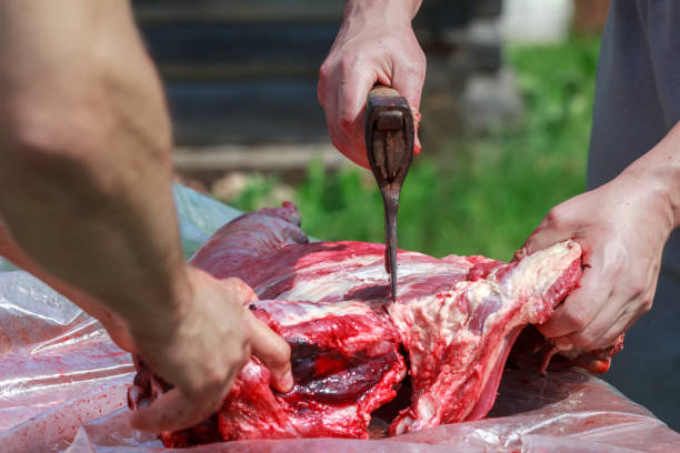 若いラム枝肉肉屋の斧での切断加工 - dead animal butcher meat sheep ストックフォトと画像