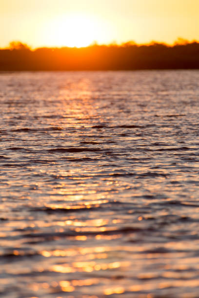 istock beautiful sunrise on the lake 809032050