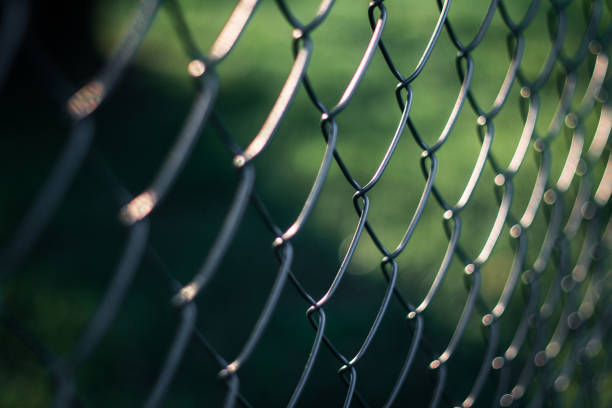 clôture chain link - green fence chainlink fence wall photos et images de collection