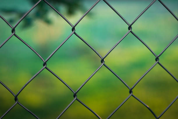 clôture chain link - green fence chainlink fence wall photos et images de collection