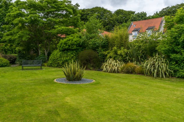 istock Seaton Park walled garden. 809052804