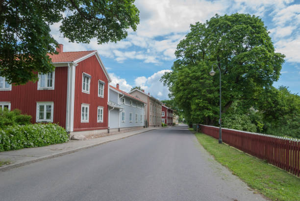 istock Road with houses in Swedish summer 809055330